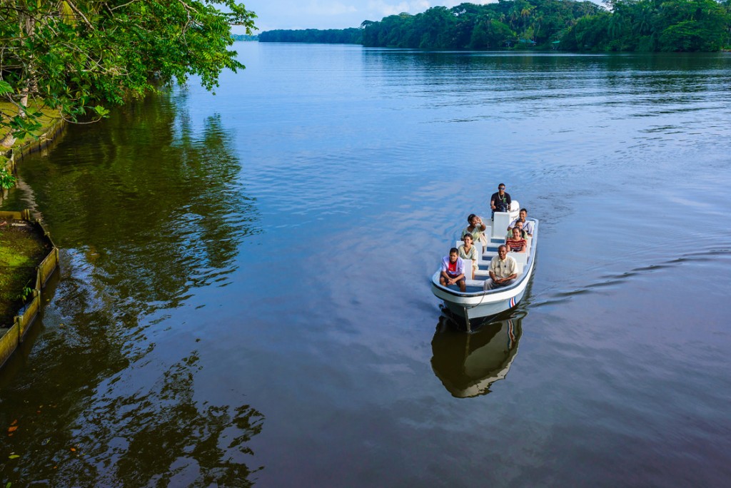 private_guide_tortuguero
